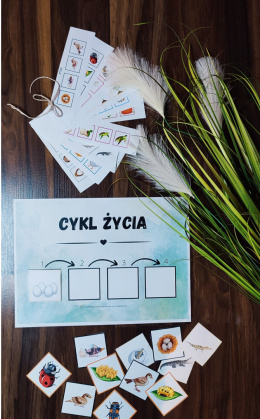 CYKL ŻYCIA - sekwencja (pdf)