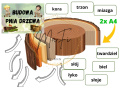 Dzień DRZEWA - zestaw pakiet materiałów pdf